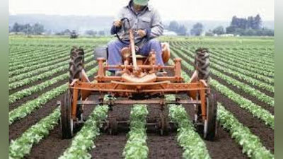 'FERMER XO`JALIGI UChUN QAY TARTIBDA ER AJRATILADI?'ning rasmi