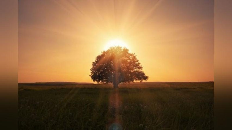 Изрображение 'УЧЕНЫЕ ЗАЯВИЛИ О НОВОЙ ГЛОБАЛЬНОЙ УГРОЗЕ ЧЕЛОВЕЧЕСТВУ'