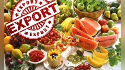 'Meva va sabzavotlar eksportida O`zbeksitonning qaysi hududi etakchi?'ning rasmi