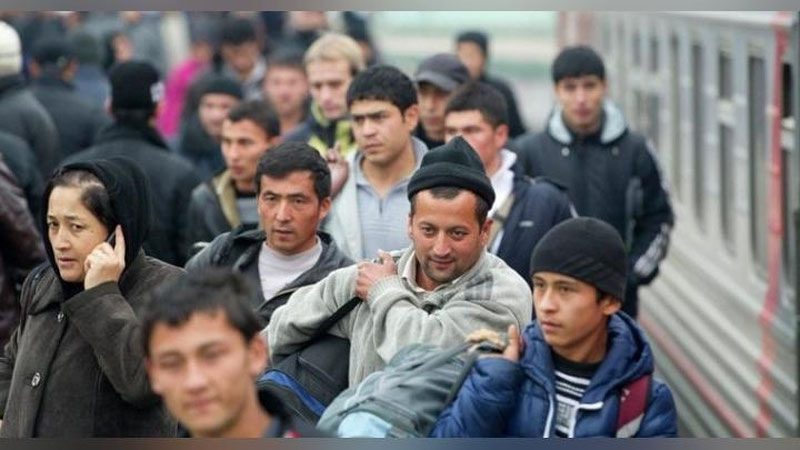 'O`zbekistonning qancha aholisi xorijda ishlamoqda?   'ning rasmi