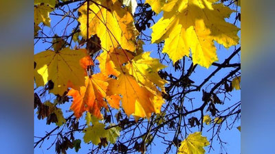 Изрображение 'ПРОГНОЗ ПОГОДЫ В УЗБЕКИСТАНЕ НА 18 НОЯБРЯ'