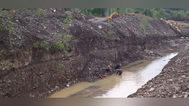 Изрображение 'Названа стартовая цена одного гектара земли для желающих заняться добычей драгметаллов'
