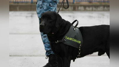 Изрображение 'Гражданка Узбекистана пыталась вывезти из Новосибирска в Ташкент около 2 млн рублей'