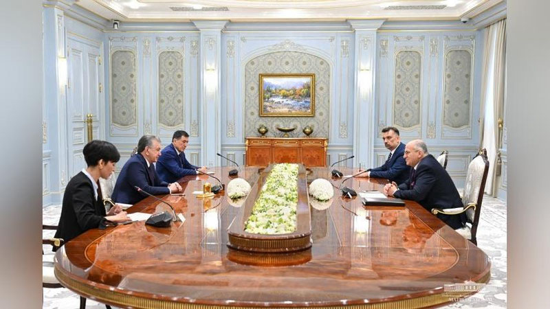 Изрображение 'Президент Узбекистана принял действующего председателя ОБСЕ'