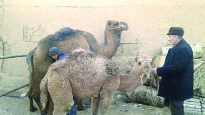 'NOODATIY TADBIRKORLIK'ning rasmi