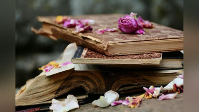 'Urush haqida 5 ta o`ta ta`sirli kitob (Foto) 'ning rasmi