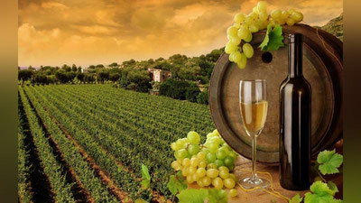 '2019 йилдан бошлаб табиий винолар ишлаб чиқаришга лицензиялар бекор қилинади'ning rasmi