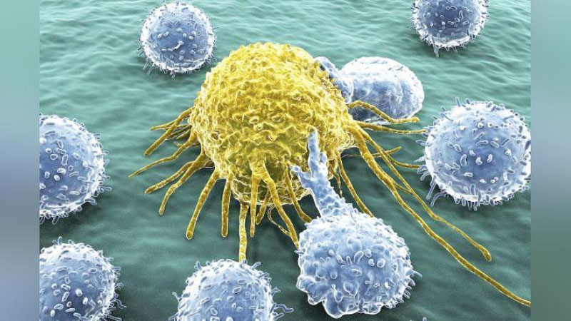 'YuRAGI  XASTALARGA OLIMLAR IXTIROSI YoRDAM BERADI'ning rasmi