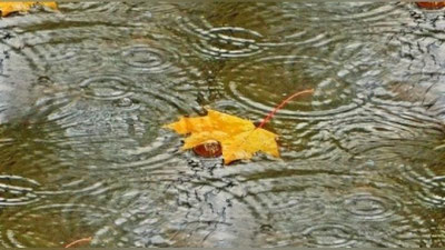 Изрображение 'ПОГОДА НА 6 ДЕКАБРЯ: БУДЕТ ПАСМУРНО И ТЕПЛО'