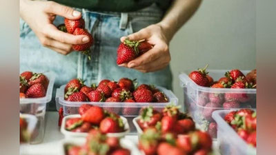 Изрображение 'Власти США назвали клубнику из супермаркетов причиной вспышки гепатита А'