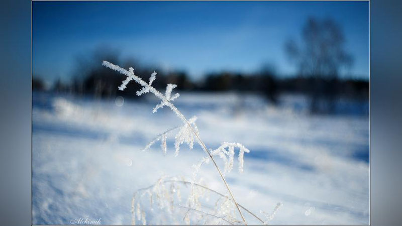 Изрображение 'ПОГОДА НА 20 ДЕКАБРЯ: ГДЕ В УЗБЕКИСТАНЕ ОЖИДАЕТСЯ ДО 24 ГРАДУСОВ МОРОЗА?'