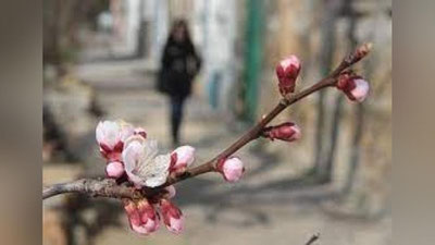 '"Ёмғирлар мавсуми ҳали тугамади". "Ўзгидромет" дам олиш кунлари қаерда қандай об-ҳаво бўлишини маълум қилди'ning rasmi