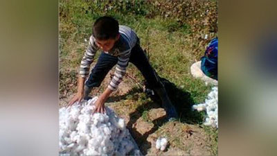 'Kogondagi paxta terimiga bolalar jalb etilganmidi?'ning rasmi