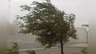 'Bugun O`zbekistonda issiq va kuchli shamol bo`lishi kutilmoqda'ning rasmi