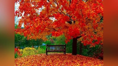 Изрображение 'ЛУННЫЙ КАЛЕНДАРЬ НА ОКТЯБРЬ'