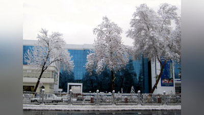 'Dekabr oyi haqiqiy qish ob-havosi bilan boshlanadi'ning rasmi