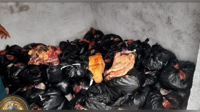 'Qashqadaryoda iste`molga yaroqsiz go`sht olib ketayotgan «Cobalt» haydovchisi ushlandi( foto)'ning rasmi