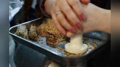 'Ундирилган буғдой ортиқча сантиметрдан ҳимоялайди 'ning rasmi