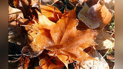 Изрображение 'ГДЕ В УЗБЕКИСТАНЕ НОЧЬЮ ОЖИДАЕТСЯ ДО 8 ГРАДУСОВ МОРОЗА?'