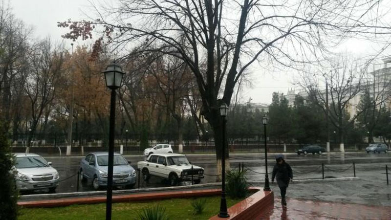 Изрображение 'Прогноз погоды на пятницу, 13-го'