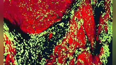 'OLIMLAR IXTIROSI SIZGA YoRDAM BERADI'ning rasmi