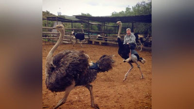 'Барча орзулар рўёбга чиқишини тасдиқловчи фактлар'ning rasmi