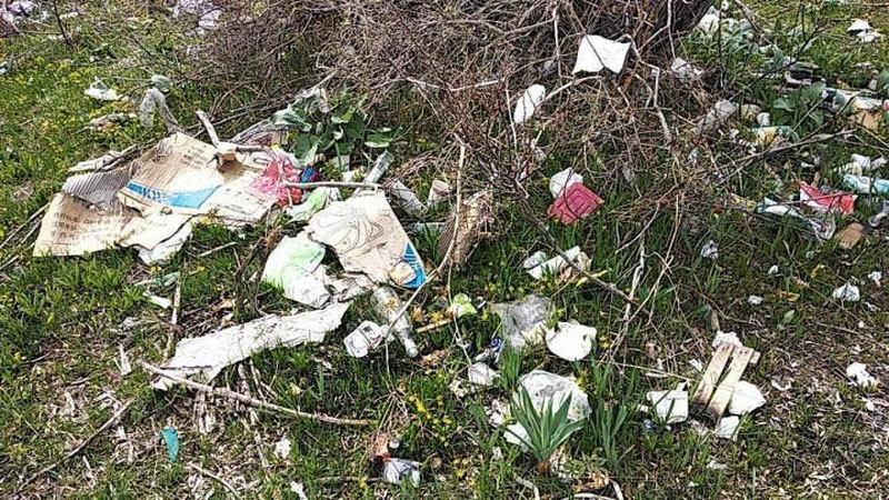 Изрображение 'Новая акция в Ташкентской области: очистка гор от мусора'