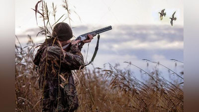 'Xorazmda sobiq Ekologiya xodimi noqonuniy ov qildi. Amaldagi ispektorlar qarsak chalib tomoshabin bo`lishdi'ning rasmi