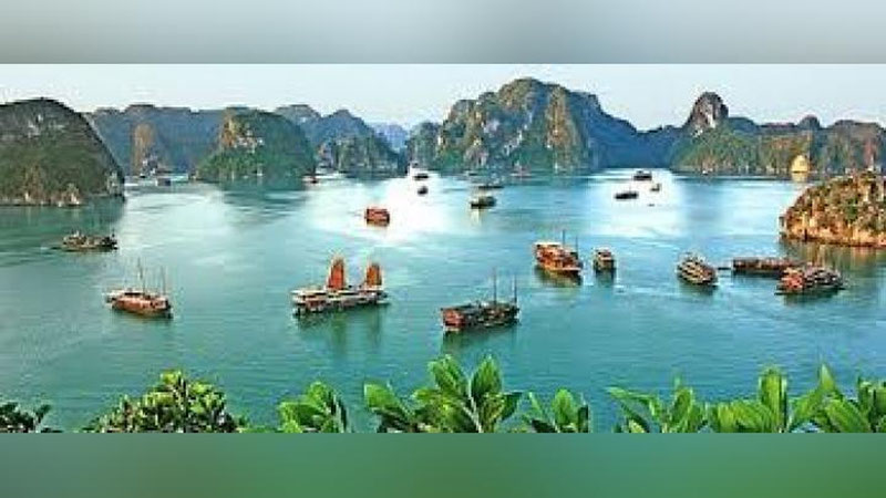 'Vetnamda ommaviy tozalash kuni bo`lib o`tdi'ning rasmi