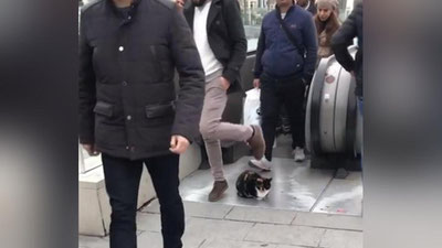 'Истанбулда дангаса мушук эскалатор йўлини тўсиб, ижтимоий тармоқларда машҳур бўлди (Видео) 'ning rasmi