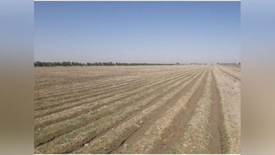 'Вилоят ҳокимларига 2 миллион гектар сувли ер майдонининг камида 10 фоизига беда ва чорва озуқа экинларини алмашлаб экишни таъминлаш вазифаси қўйилди'ning rasmi