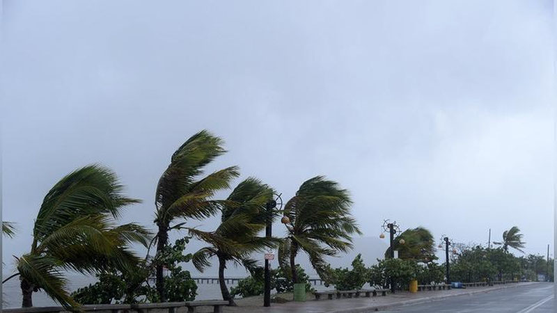 'FLORIDA “IRMA” ZARBASIGA TAYYoRLANMOQDA'ning rasmi