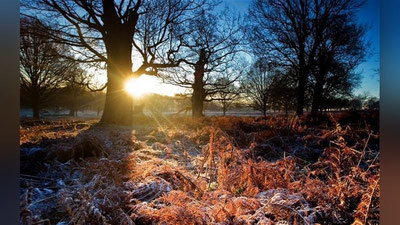 Изрображение 'Какая погода ожидается 5 февраля в Узбекистане?'