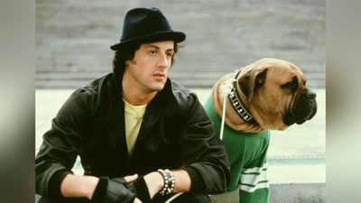 '​Ёшлигида муҳтожликдан итини 40 долларга сотган  Сильвестр Сталлоне'ning rasmi