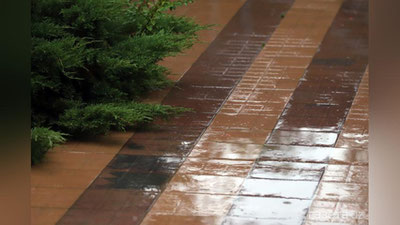 'Bugun O`zbekistonning 4 ta viloyatida qisqa muddatli yomg`ir yog`ishi kutilmoqda'ning rasmi