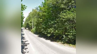 '​Ўрмон хўжалиги илмий-тадқиқот институти  ташкил этилади'ning rasmi