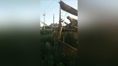 'Echkiemarning boshiga ayiqning kuni tushdimi?'ning rasmi