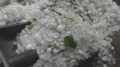 Изрображение 'Ставрополь: град 14 мая 2016 был с перепелиное яйцо'