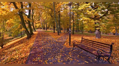 'Kuz simfoniyasi: Kuchli yomg`ir, nam havo, tuman, 25 daraja issiq...'ning rasmi