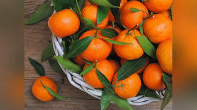 'Mandarinning ham salbiy tomonlari mavjud...'ning rasmi