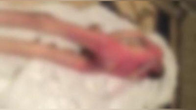 Изрображение 'В Генпрокуратуре прокомментировали снимок трупа, распространяемый в сети'