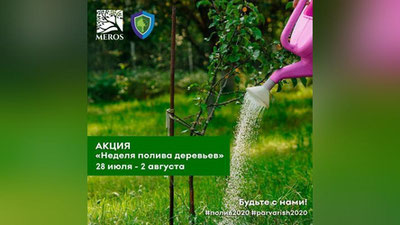 Изрображение 'В Узбекистане запускают акцию «Неделя полива деревьев»'