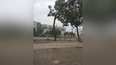 Изрображение 'Участок улицы Ахмада Дониша закрыт до 1 сентября (фото)'