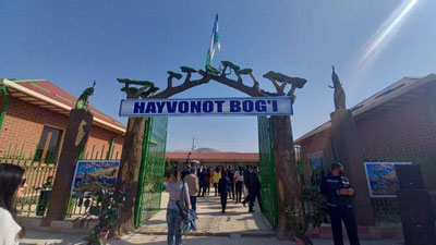 '“Ginnes rekordlar kitobi”ga kirish arafasida turgan Samarqanddagi “Doktor kobra” haqida bilasizmi?'ning rasmi