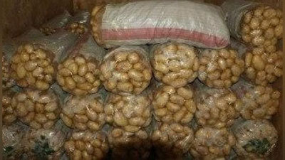 'Qancha kartoshka, piyoz, sabzi va guruch zaxirasi yaratilgani ma`lum qilindi'ning rasmi