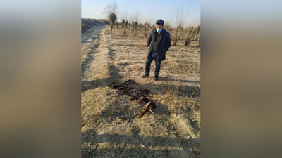 'Xatirchidagi  “Qoracha” MFY hududida  brakonerlar qo`lga tushdi'ning rasmi