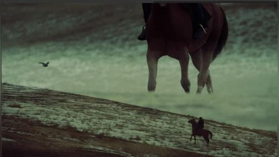 'Prezident tashabbusi bilan qorabayir zotini ko`paytirish bo`yicha qilinayotgan ishlar haqida hujjatli film tayyorlandi'ning rasmi