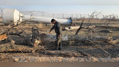 Изрображение 'В Узбекистане предусмотрят арест в отношении злостных рубщиков деревьев'
