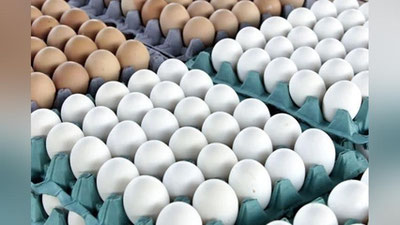 '2020 yilda qaysi hududlarda eng ko`p tuxum etishtirilgan?'ning rasmi