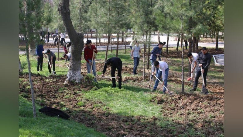 Изрображение 'В Узбекистане пройдет всенародный хашар'